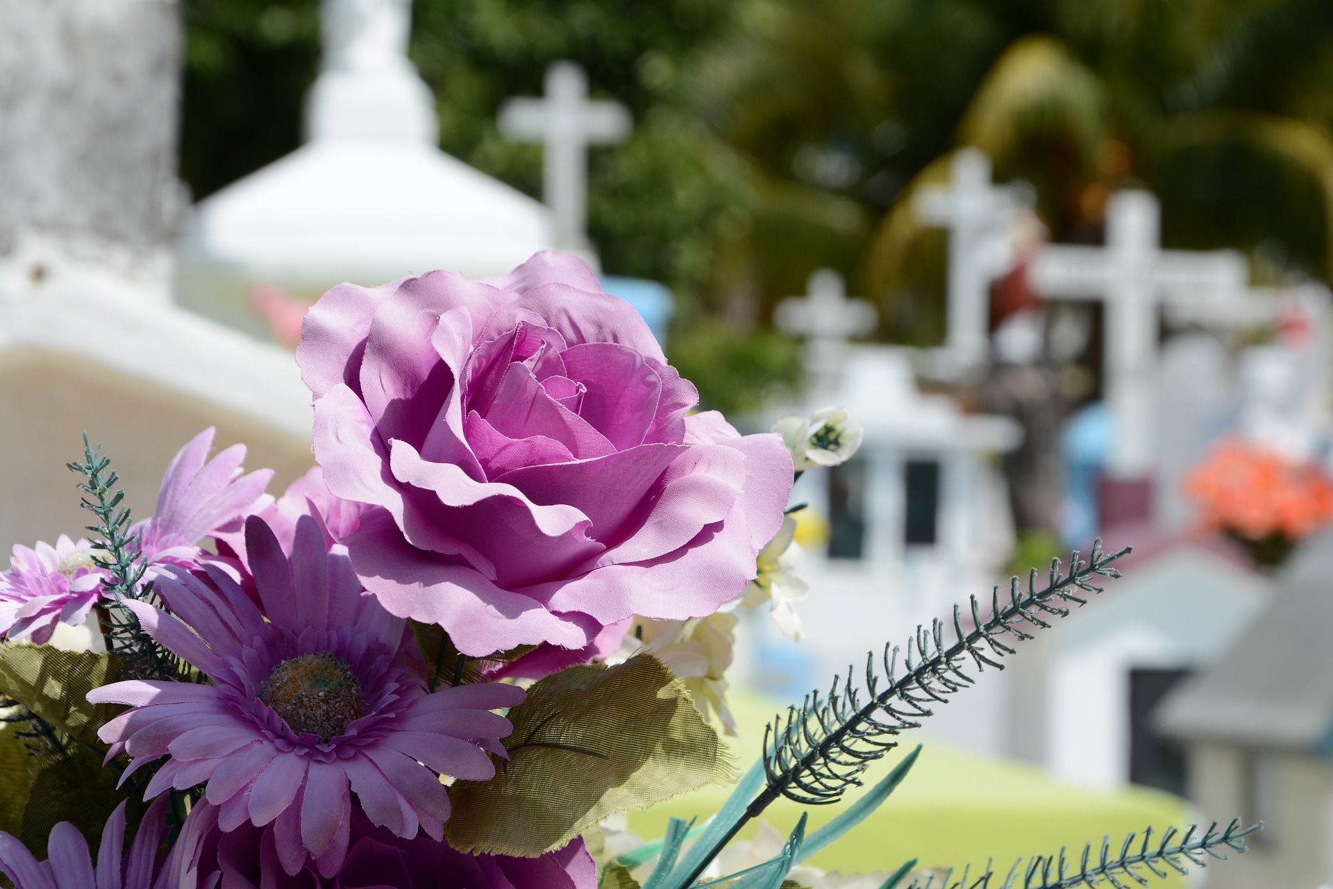 Fleurs devant des tombes